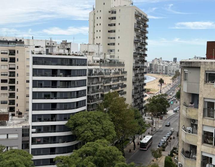 Imagem da propriedade