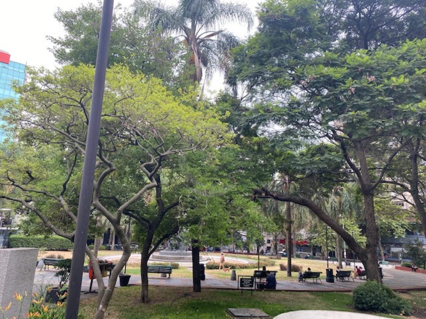 Foto propiedad 3