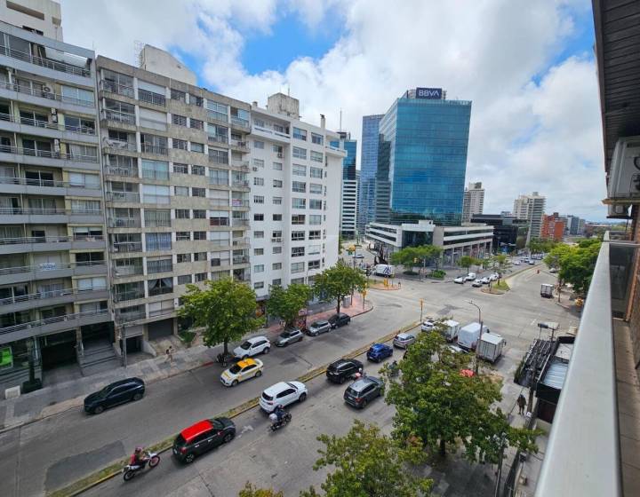 Imagem da propriedade