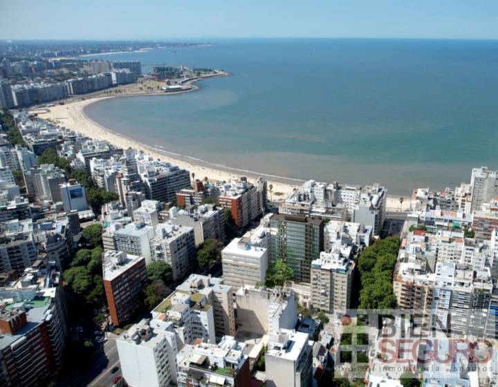 Imagem da propriedade