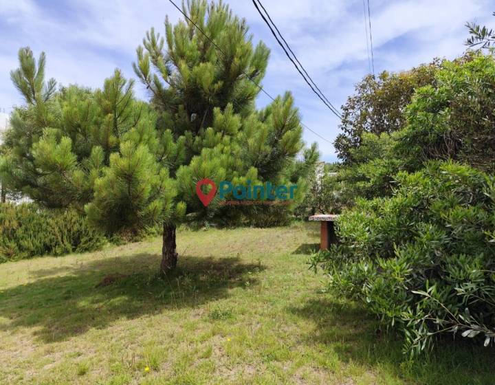 Venta Casas Apartamentos en Punta del Diablo Rocha