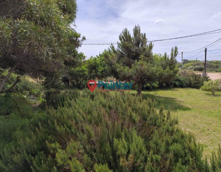 Venta Casas Apartamentos en Punta del Diablo Rocha