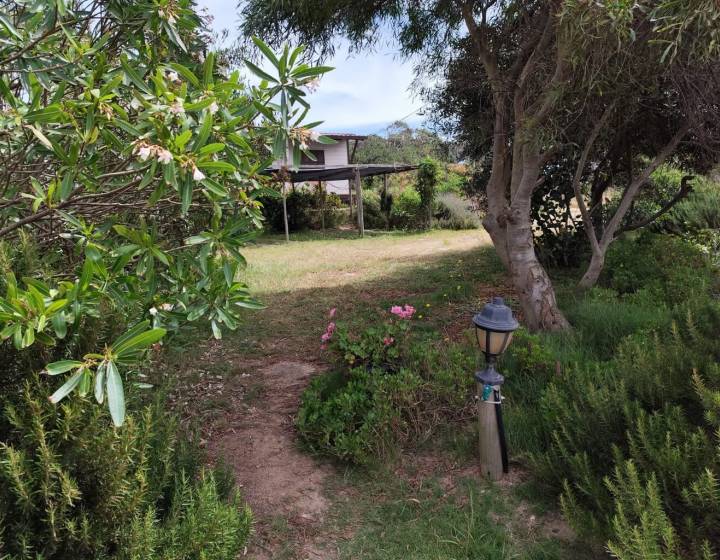 Venta Casas Apartamentos en Punta del Diablo Rocha