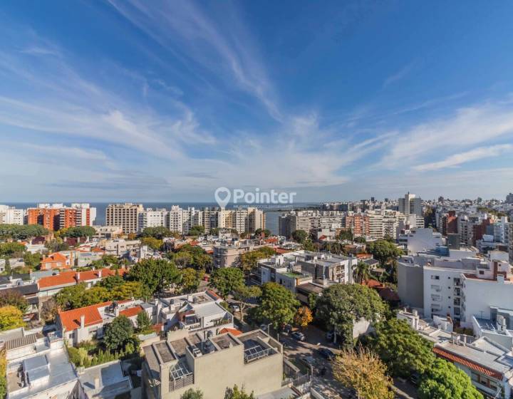 Alquiler monoambiente casi a estrenar en pocitos