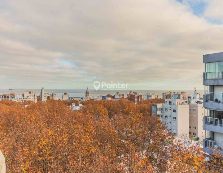 apartamento 1 domitorio piso alto parque rodo con vista panoramica