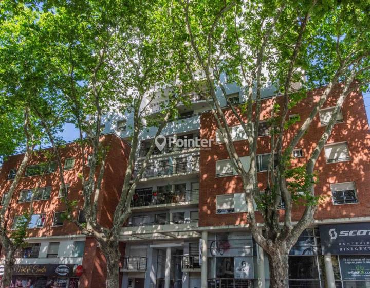 Apartamento tres dormitorios Aguada