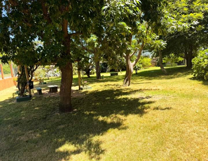 Apartamento en alquiler anual Maldonado