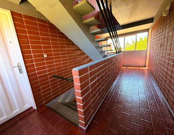 Apartamento en alquiler anual Maldonado