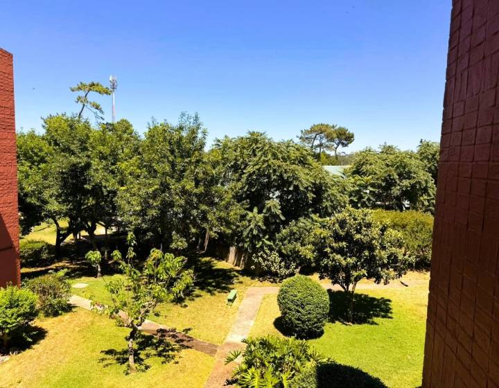 Apartamento en alquiler anual Maldonado