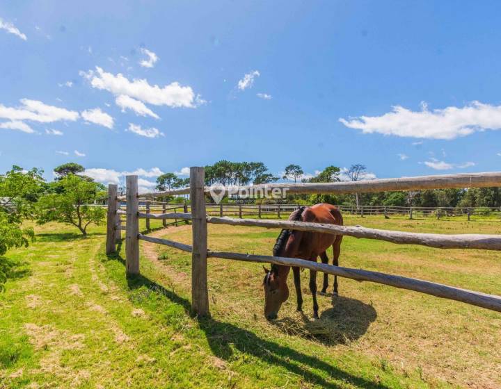 VENTA DE CHACRAS DE 3 HECTAREAS EN MONTEVIDEO CON AMENITIES EN LA BAGUALA