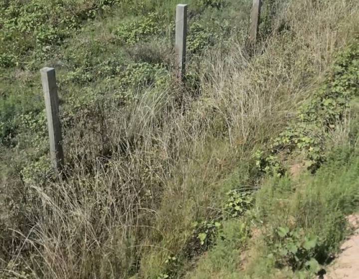 Campo de 5ha en venta en Pando, OPORTUNIDAD