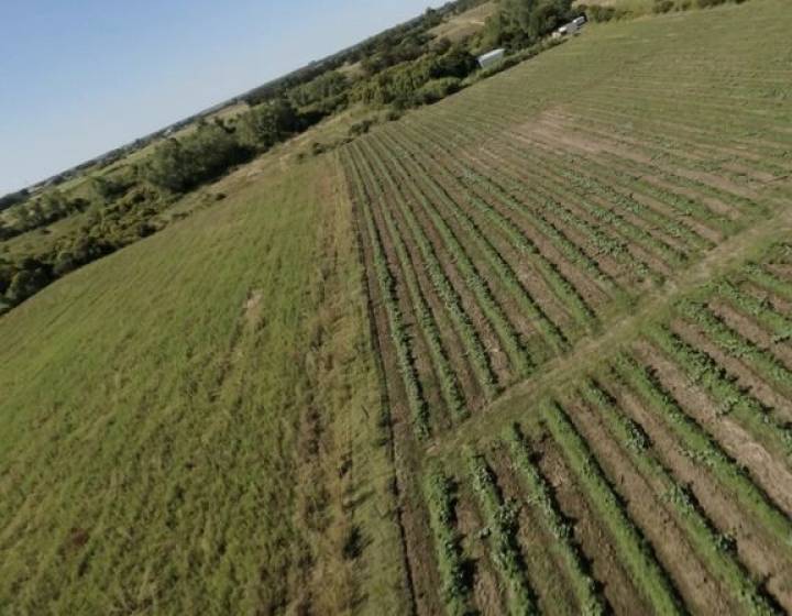 Campo de 5ha en venta en Pando, OPORTUNIDAD