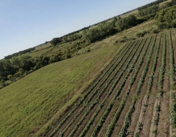 Campo de 5ha en venta en Pando, OPORTUNIDAD