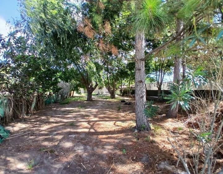 OPORTUNIDAD ! VENTA DE CASA EN PLAYA PENINO SAN JOSE CON TERRENO DE 500 M2