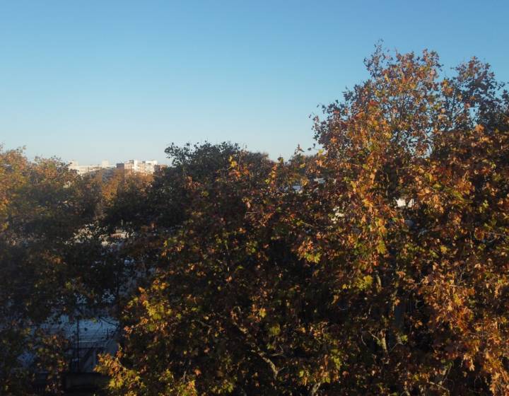 Venta De Excelentes Apartamentos De 2 Dormitorios/ Barrio Palermo/ Proyecto Siel Palermo