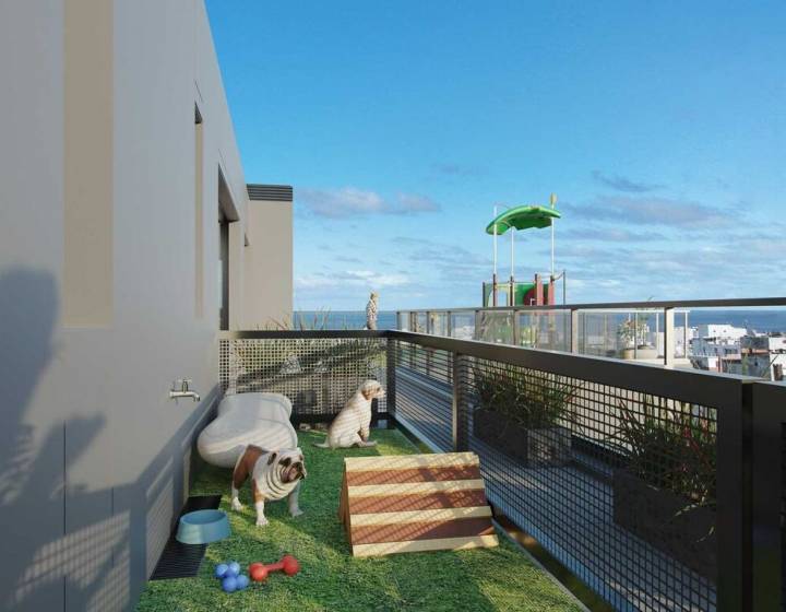 Venta Monoambiente, Cordon