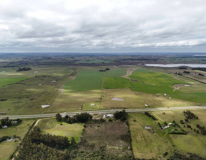 CHACRA 20 HECT&Aacute;REAS SOBRE RUTA INTERBALNEARIA