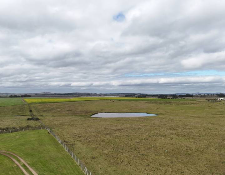 CHACRA 20 HECT&Aacute;REAS SOBRE RUTA INTERBALNEARIA
