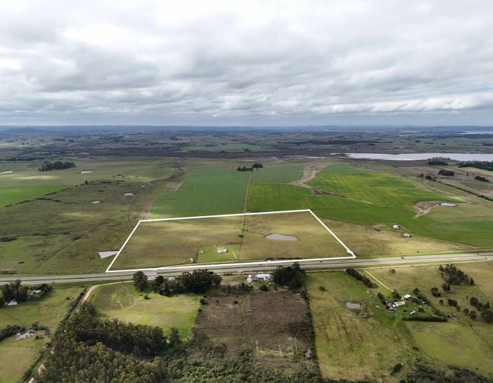 Chacra 20 hectareas sobre ruta interbalnearia