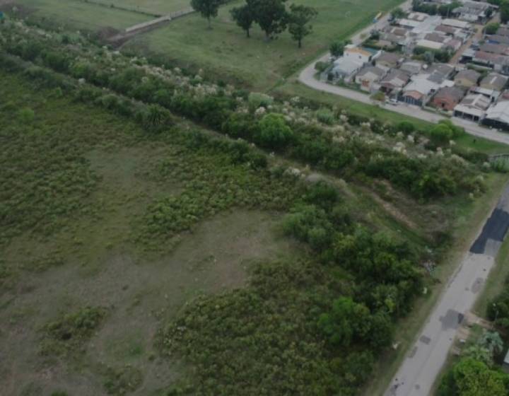 Terreno En San Carlos - Ideal Para Log&iacute;stica, Viviendas Y Fraccionamientos.