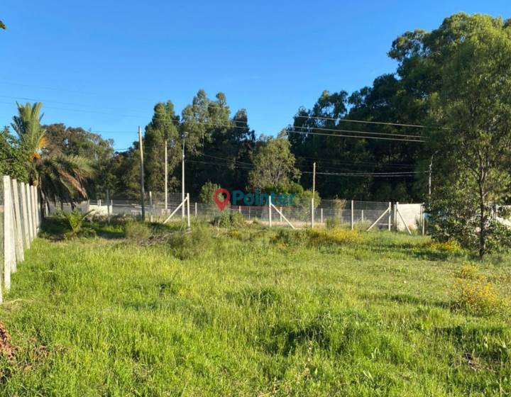 Terreno, juan torora, playa pajas blancas