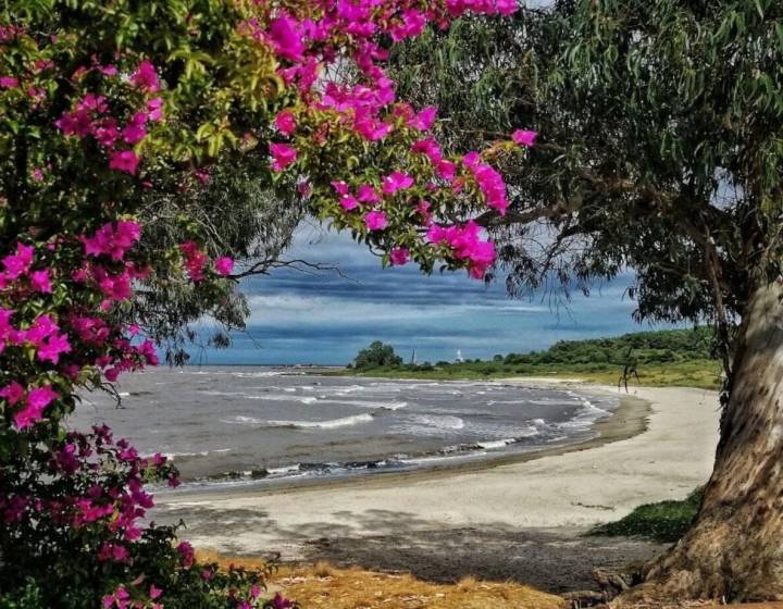Terreno, juan torora, playa pajas blancas