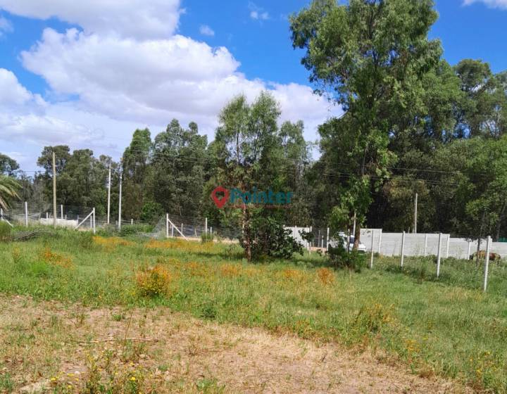 Terreno, juan torora, playa pajas blancas