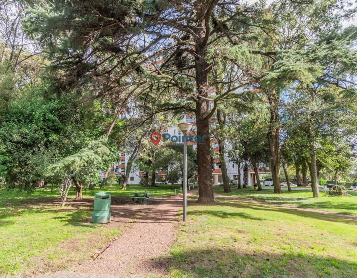 Alquiler apartamento 4 dormitorios en la mejor torre de Parque Posadas - Prado
