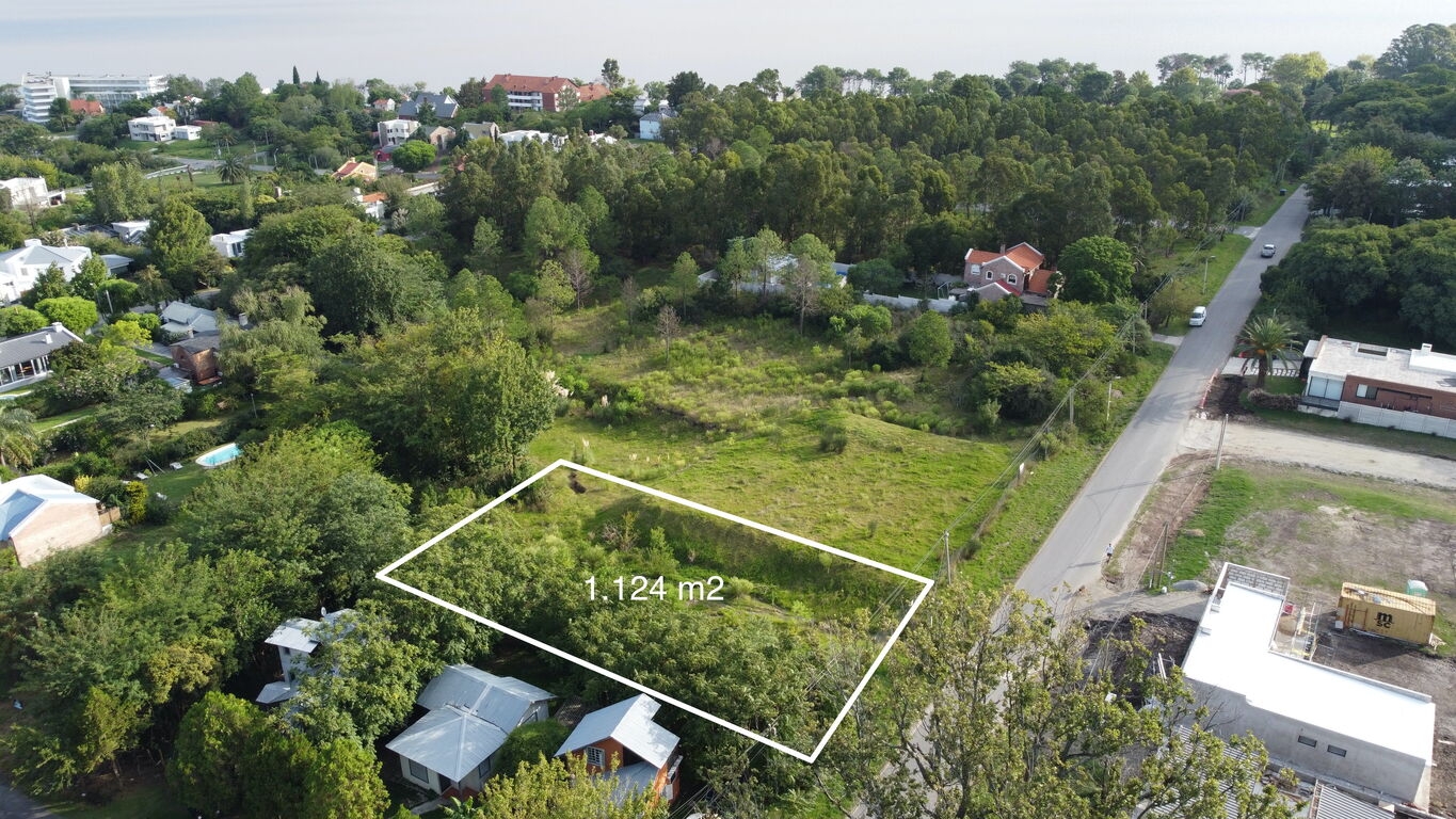 p64412661