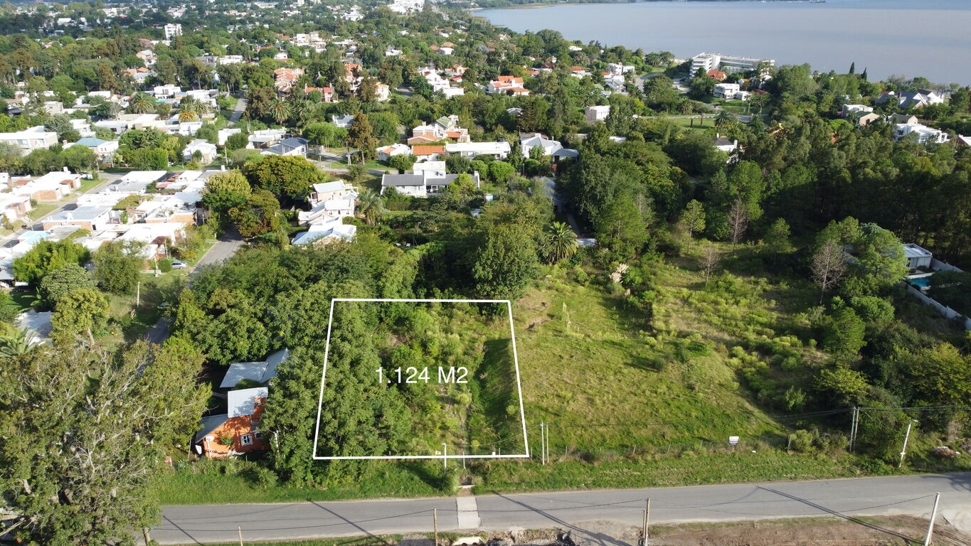 p64412662