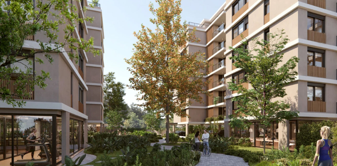 Grou Bosque — imagen 3