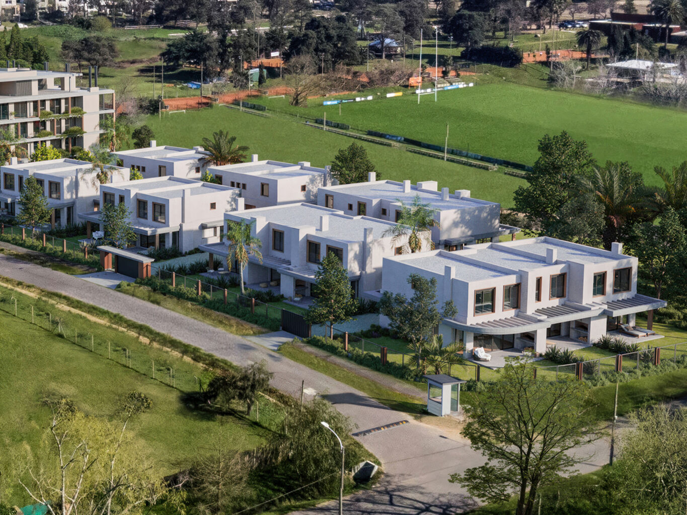Ayres Polo — imagen 2
