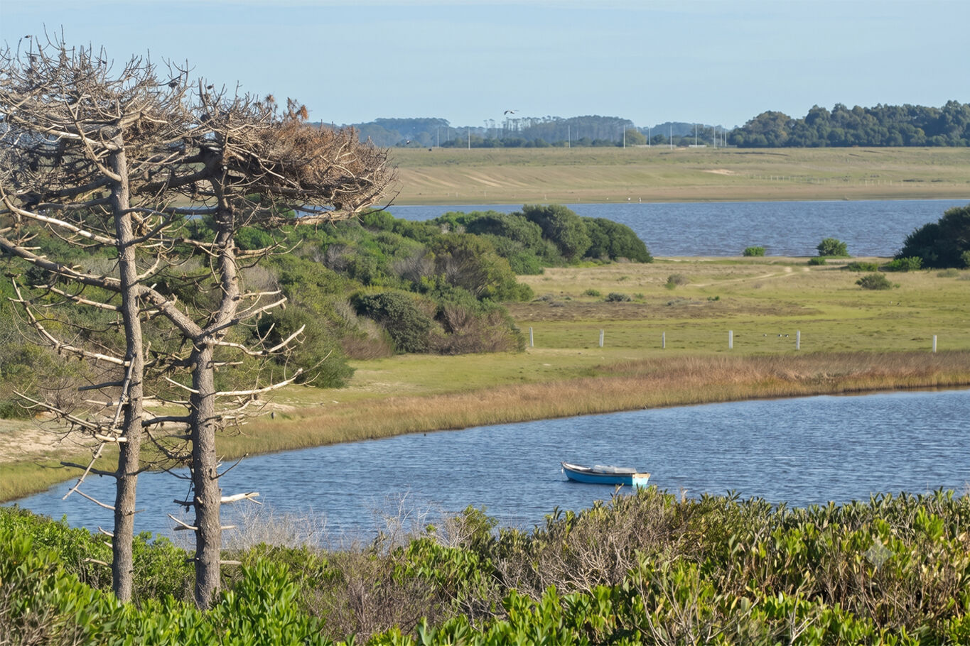 Chacra en Laguna Garzón — imagen 3