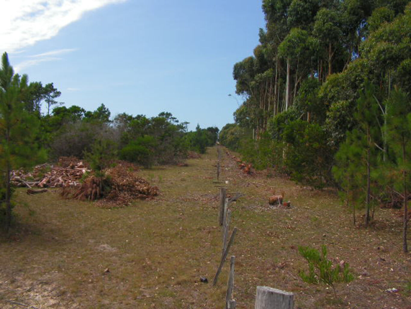 Chacra Marítima en Rocha — imagen 6