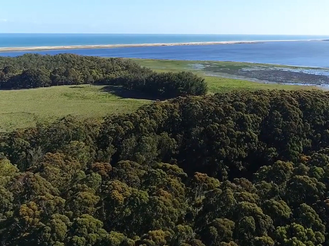 Campo Histórico sobre la Laguna de Rocha — imagen 6