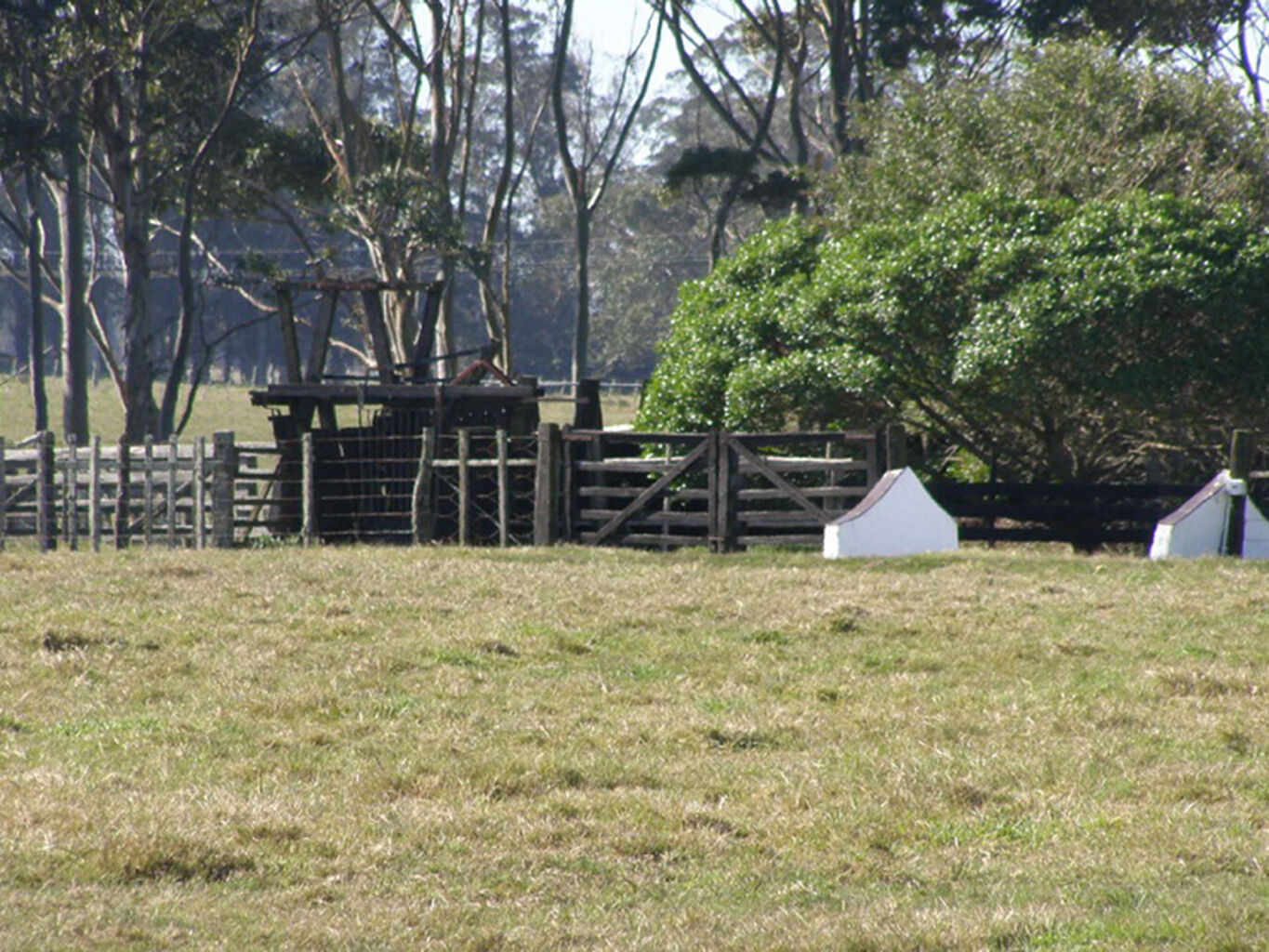 Campo Histórico sobre la Laguna de Rocha — imagen 19
