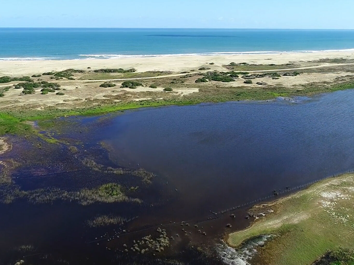 Campo Histórico sobre la Laguna de Rocha — imagen 9