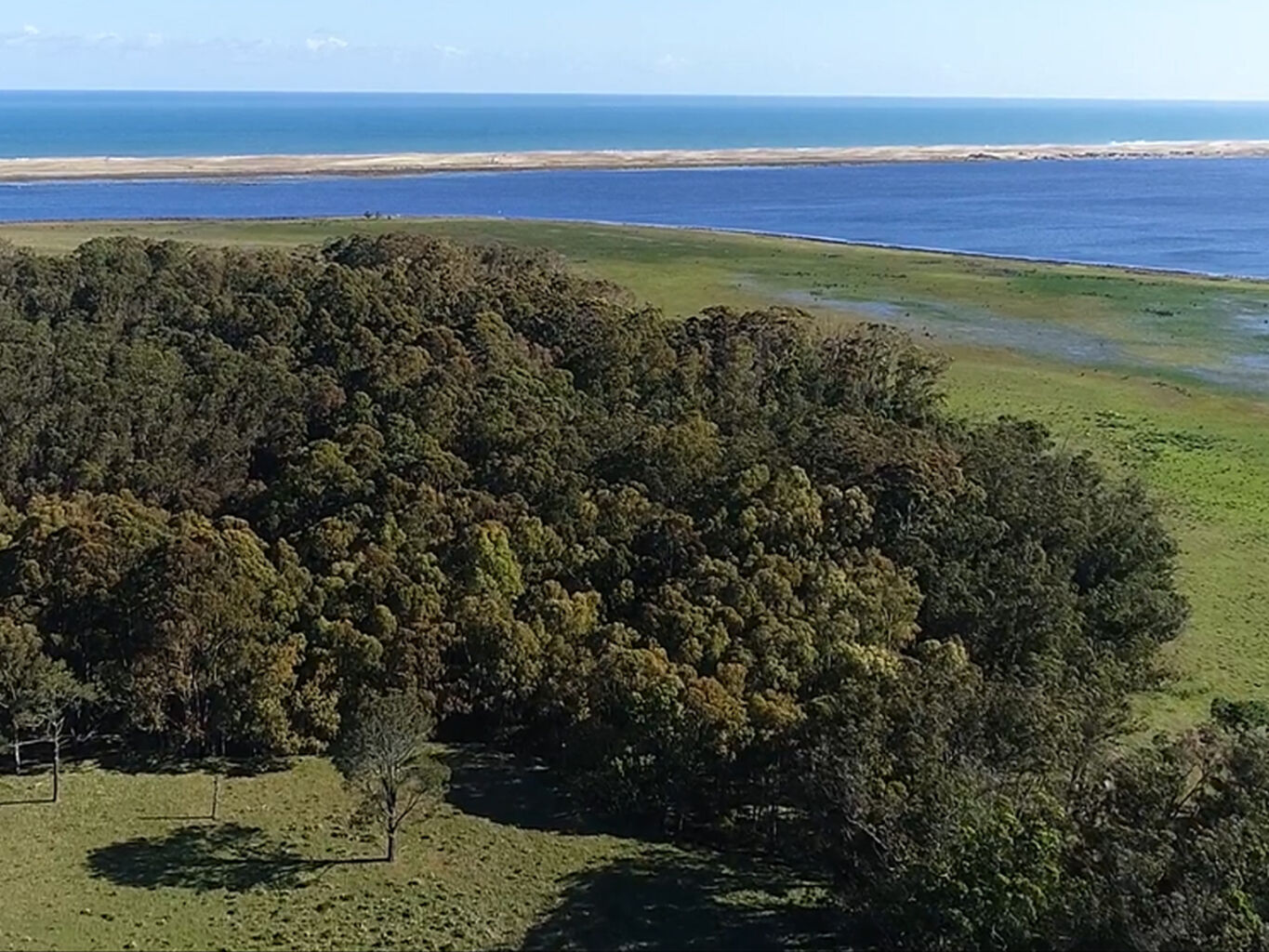 Campo Histórico sobre la Laguna de Rocha — imagen 10