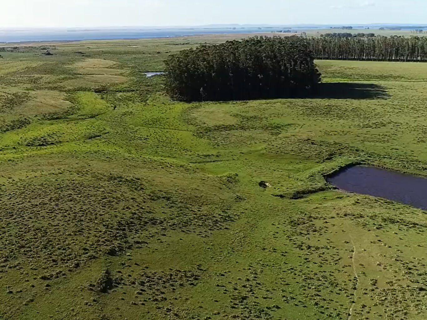 Campo Histórico sobre la Laguna de Rocha — imagen 7