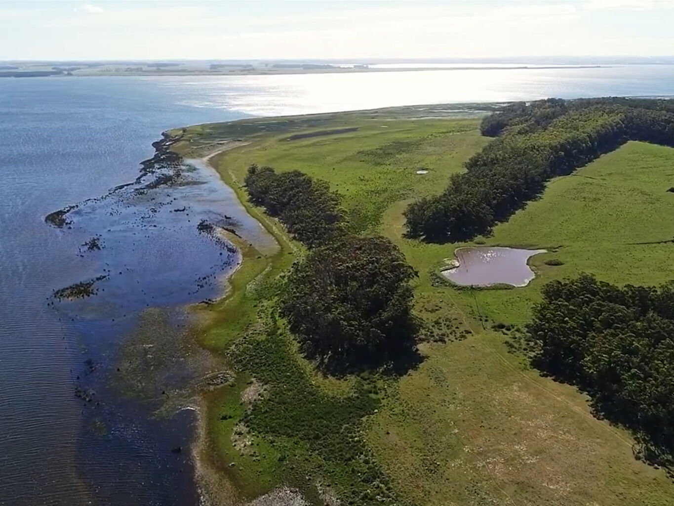 Campo Histórico sobre la Laguna de Rocha — imagen 8