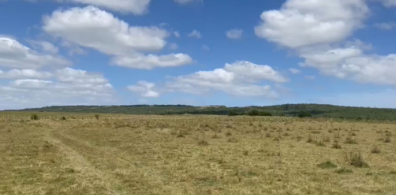 Campo en Rocha — imagen 2