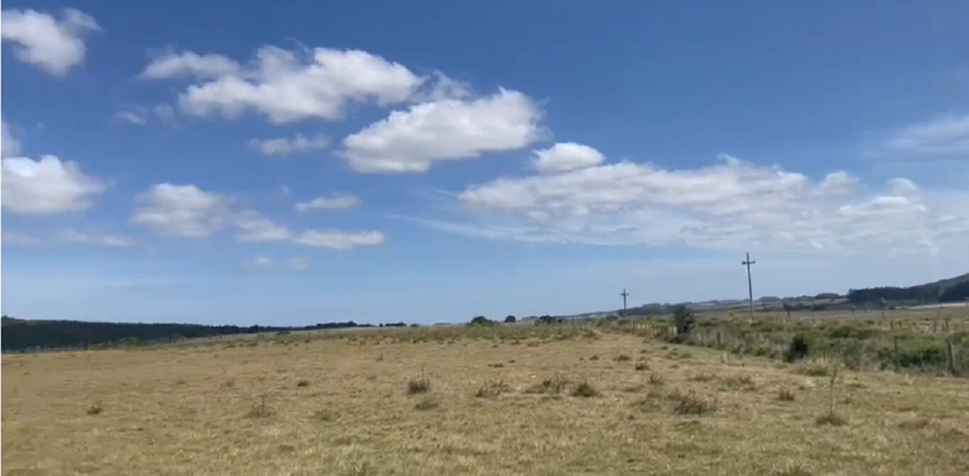 Campo en Rocha — imagen 3