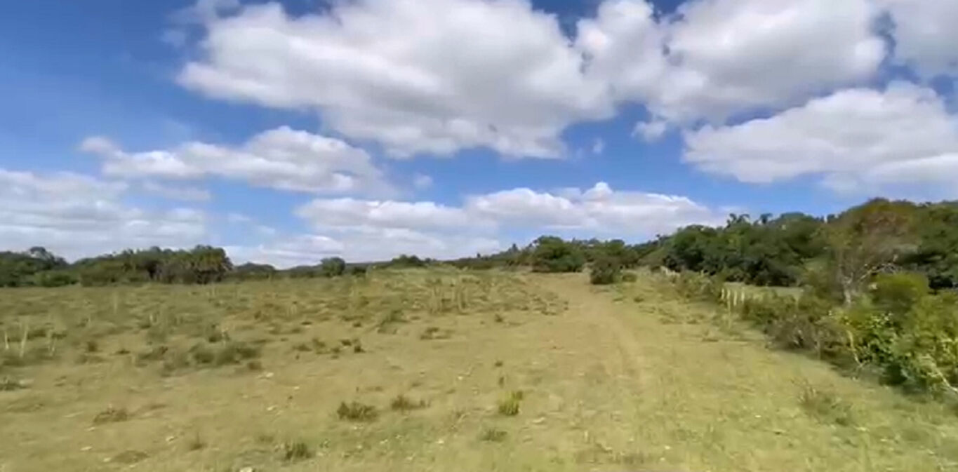Campo en Rocha