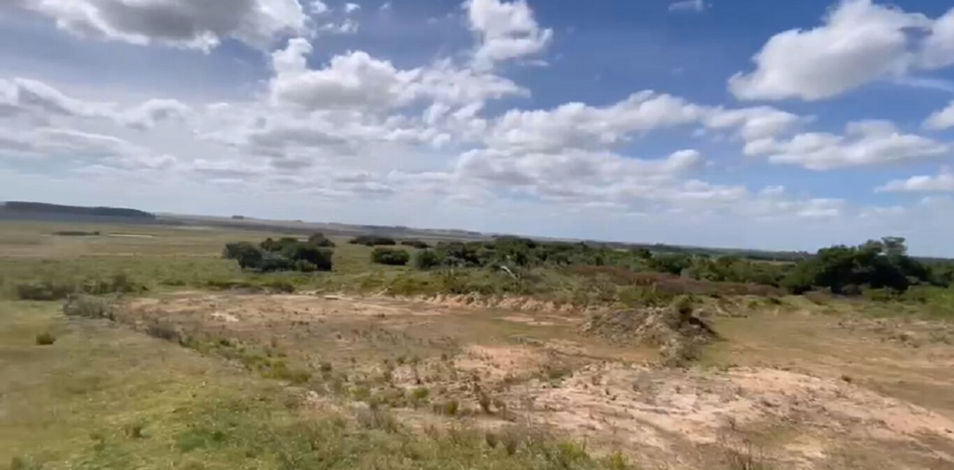 Campo en Rocha — imagen 4