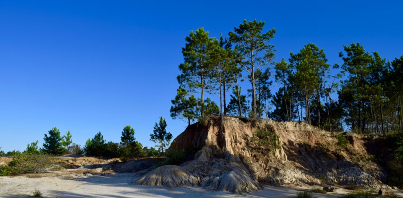 Terreno en Punta Rubia — imagen 5