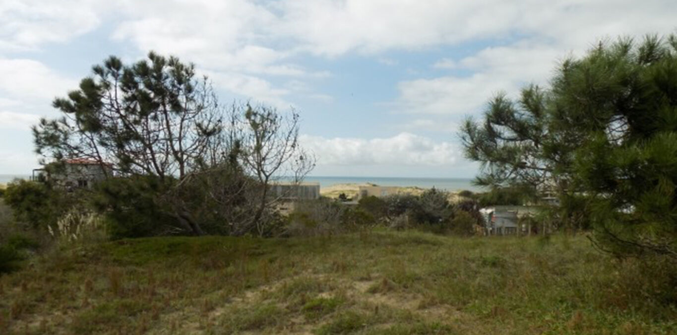 Terreno en Punta Rubia — imagen 4