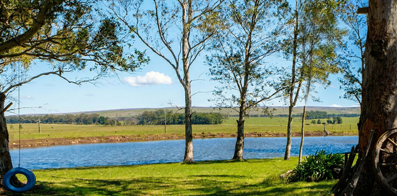 Campo en Rocha — imagen 2