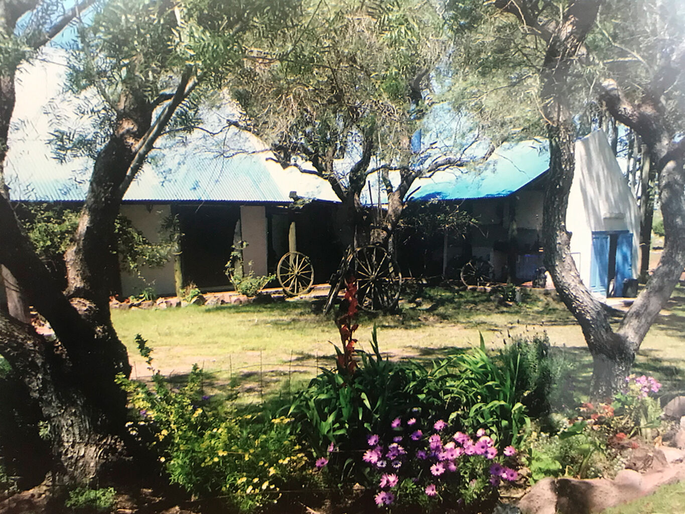 Campo en Rocha — imagen 4
