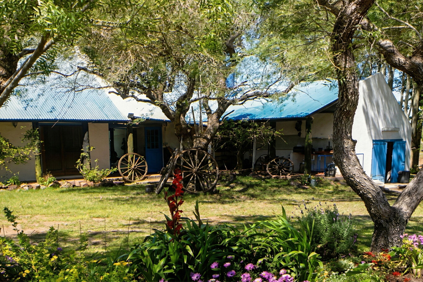 Campo en Rocha — imagen 3