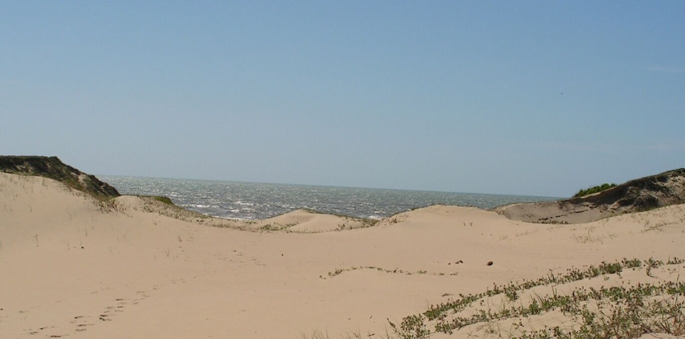 Chacra con Costa sobre El Atlántico — imagen 2